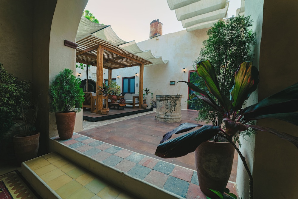 Garden view