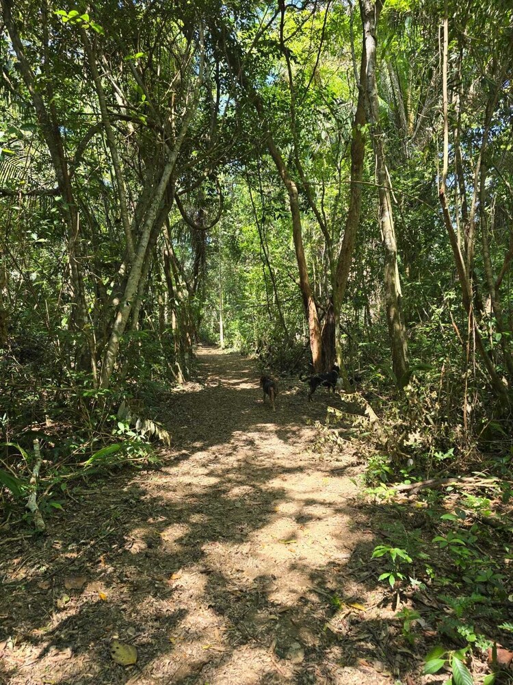 Hiking