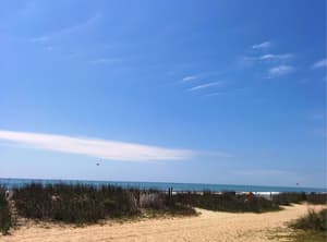 thumbnail: Beach