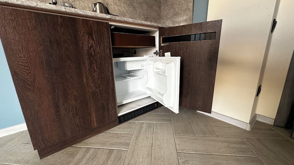 Mini-refrigerator