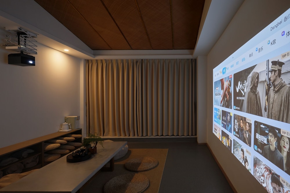 Television
