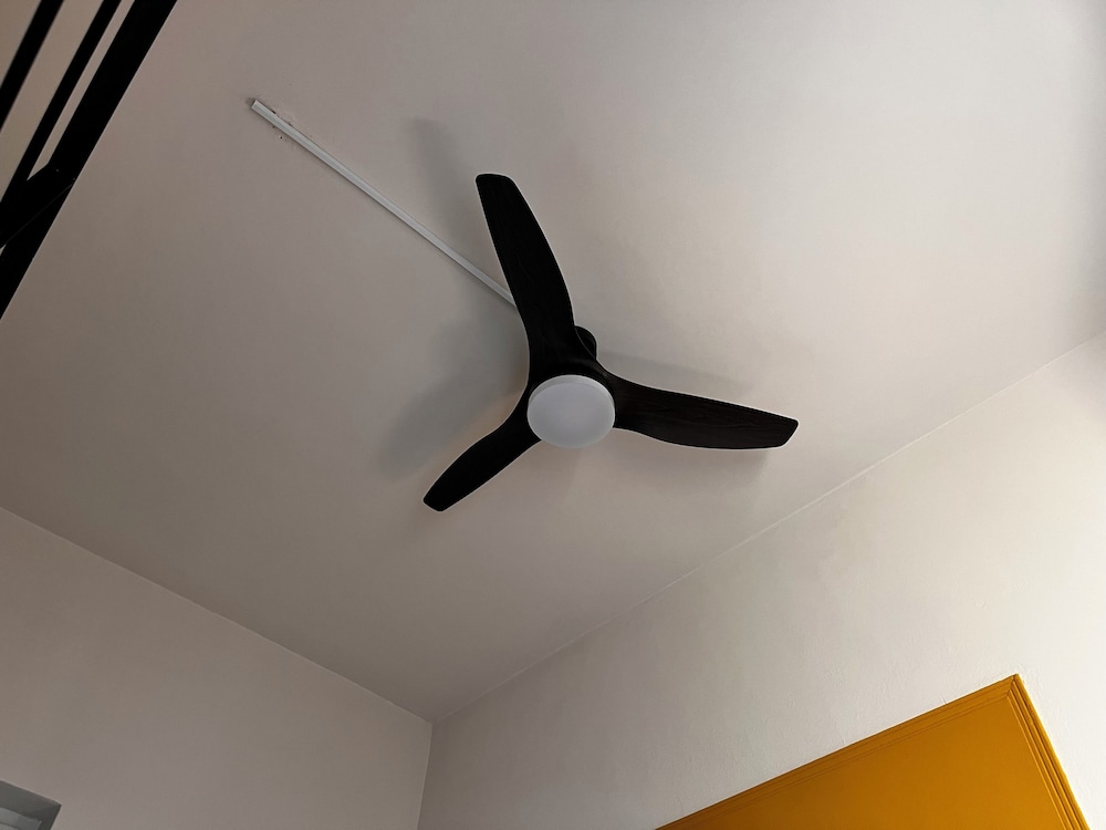 Fan