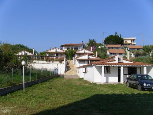 18858402.jpg