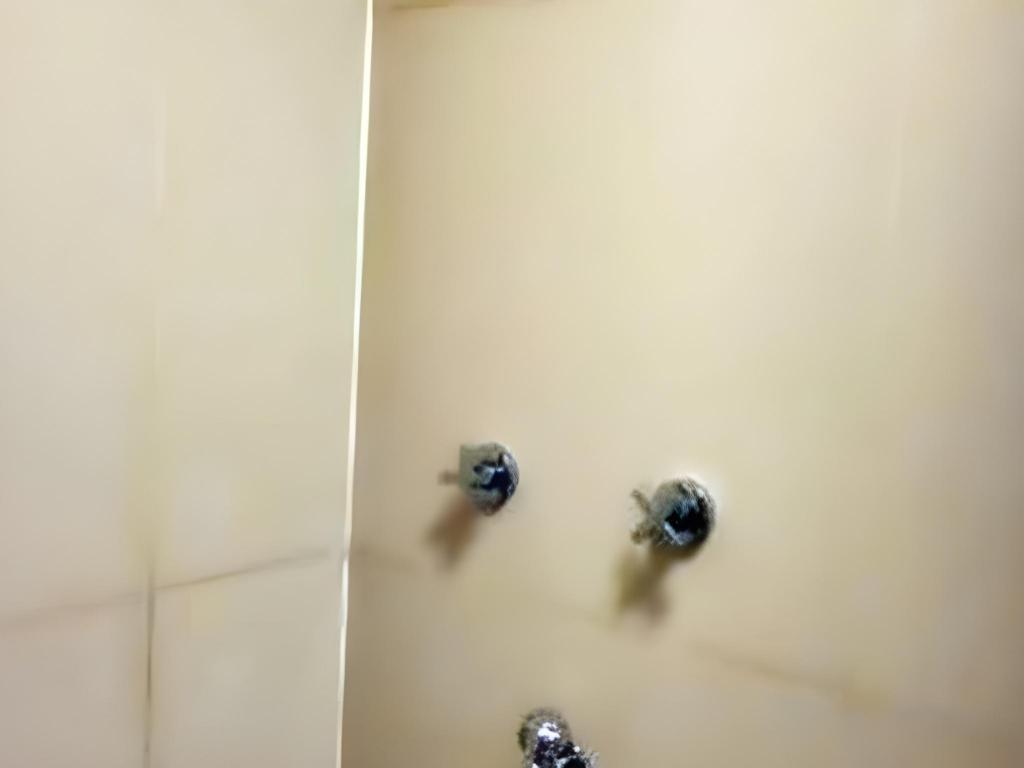 98a24d1ab91922b87296d2129410882f.jpeg