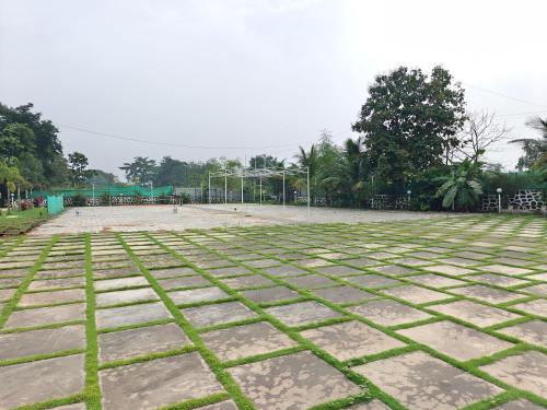 609246221.jpg