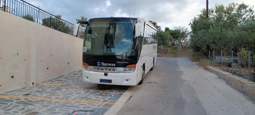 691683084.jpg