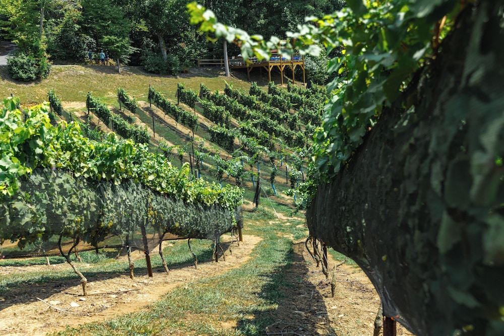 Winery