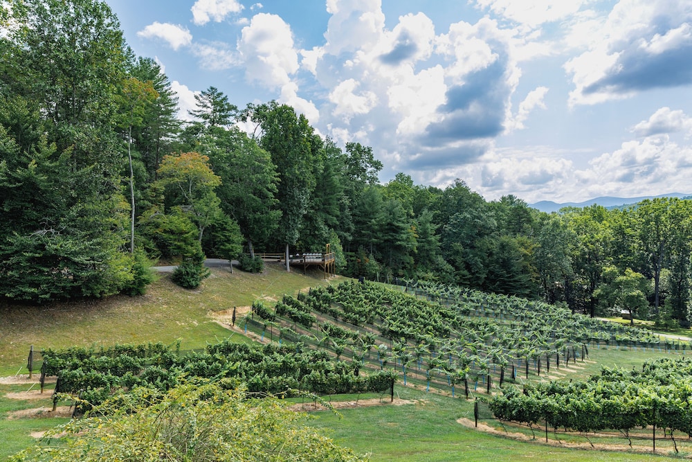 Winery