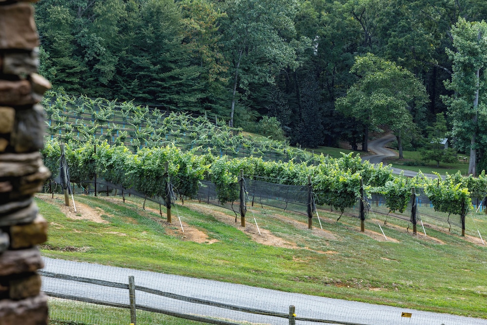Winery