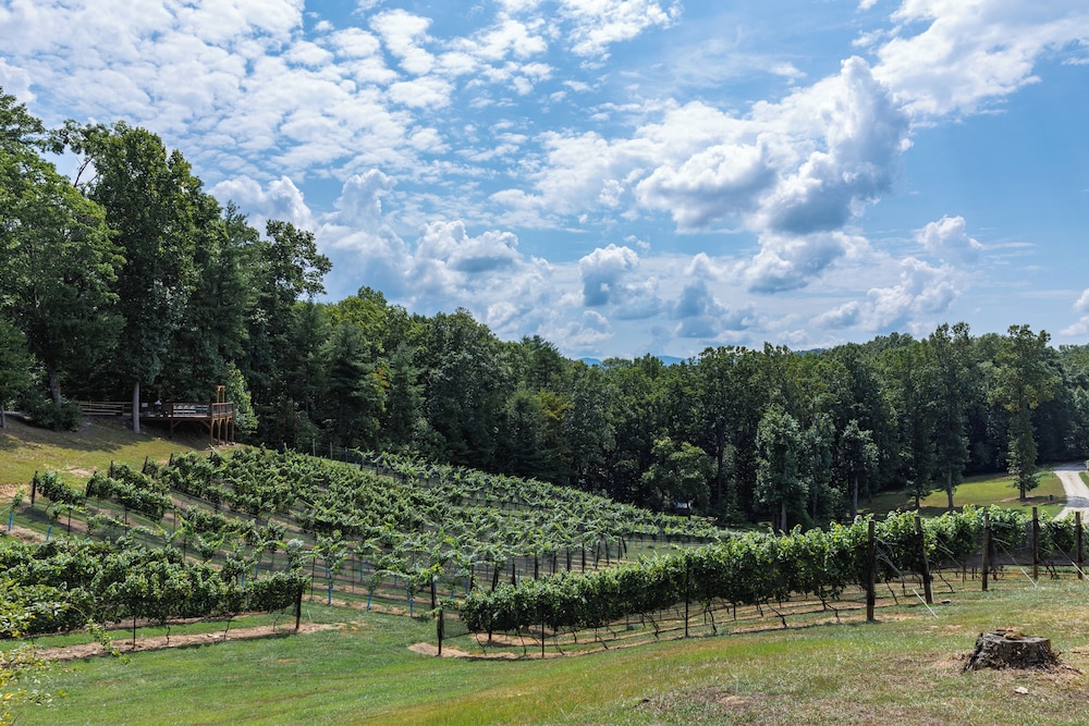 Winery