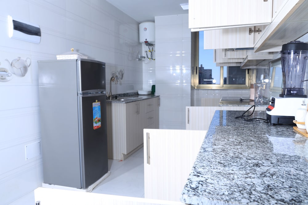 Mini-refrigerator