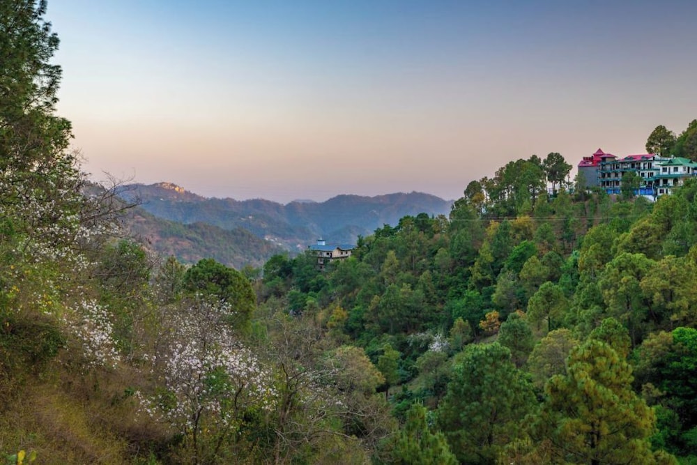 Mountain view