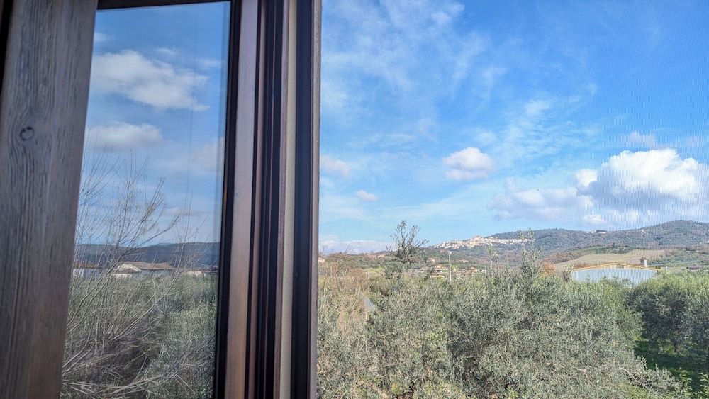 Land view from property