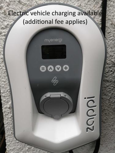 388785003.jpg
