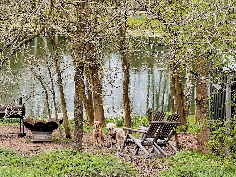 BBQ/picnic area