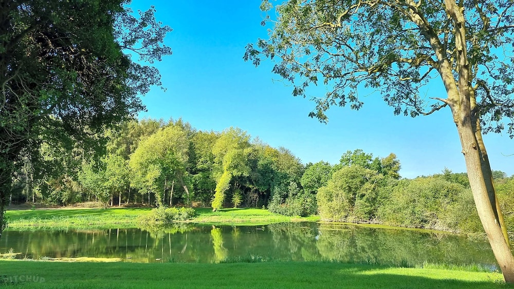 Lake view