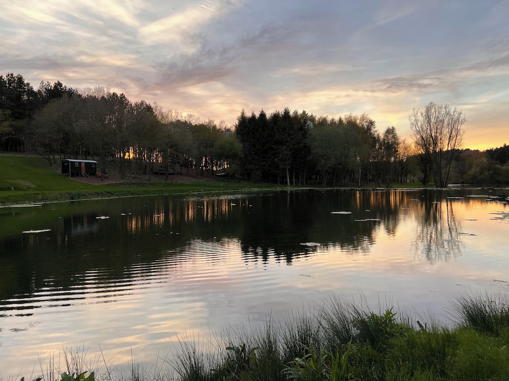 Lake view