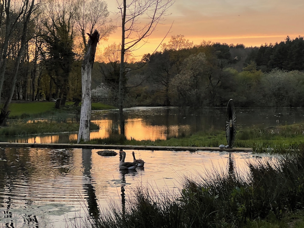 Lake view