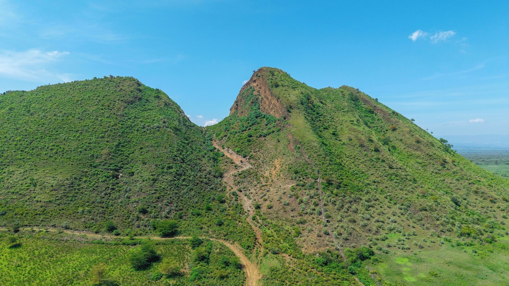 Hiking