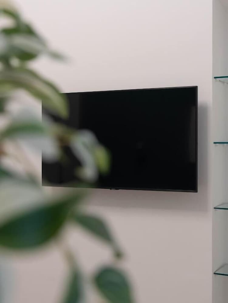 Television