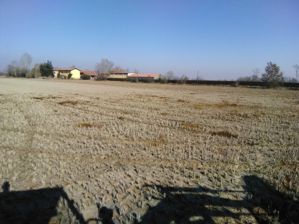 Primary image