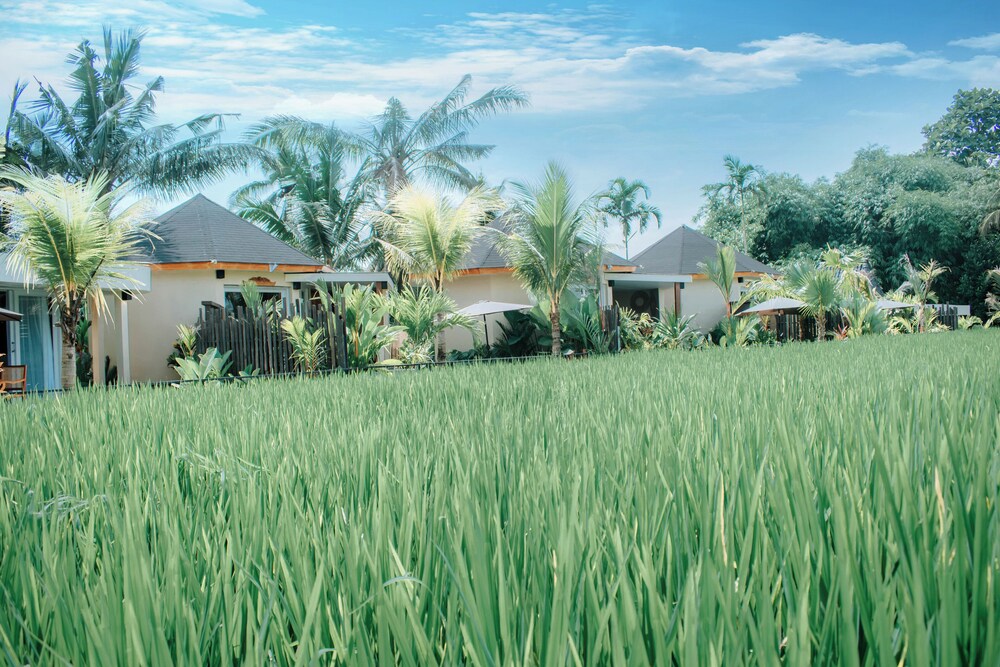 Land view from property