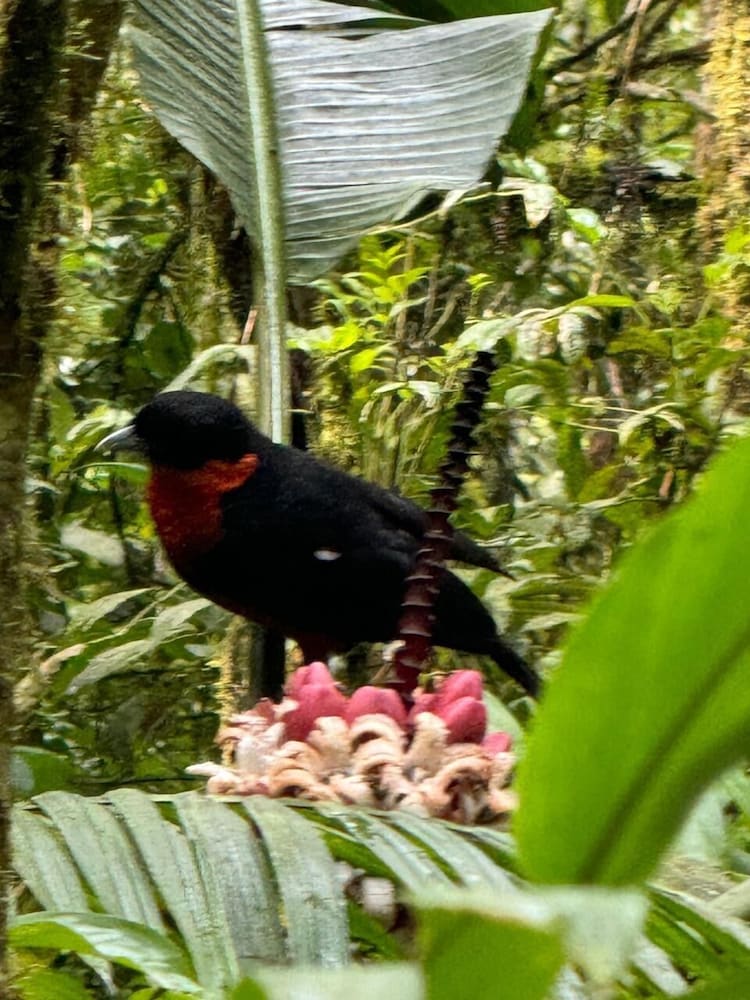 Ecotours