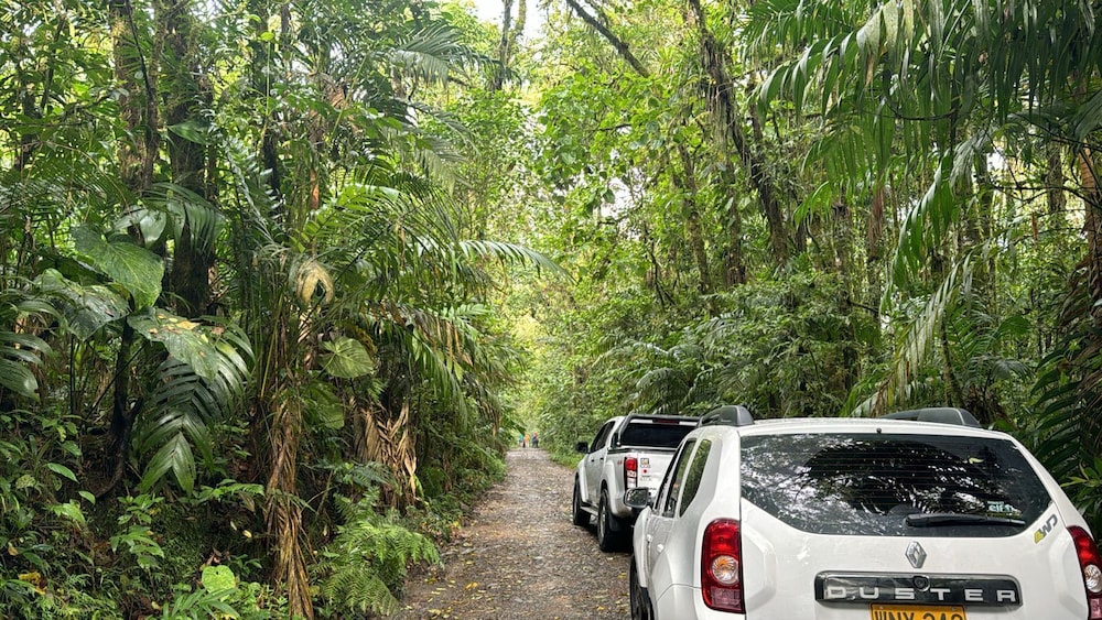 Ecotours