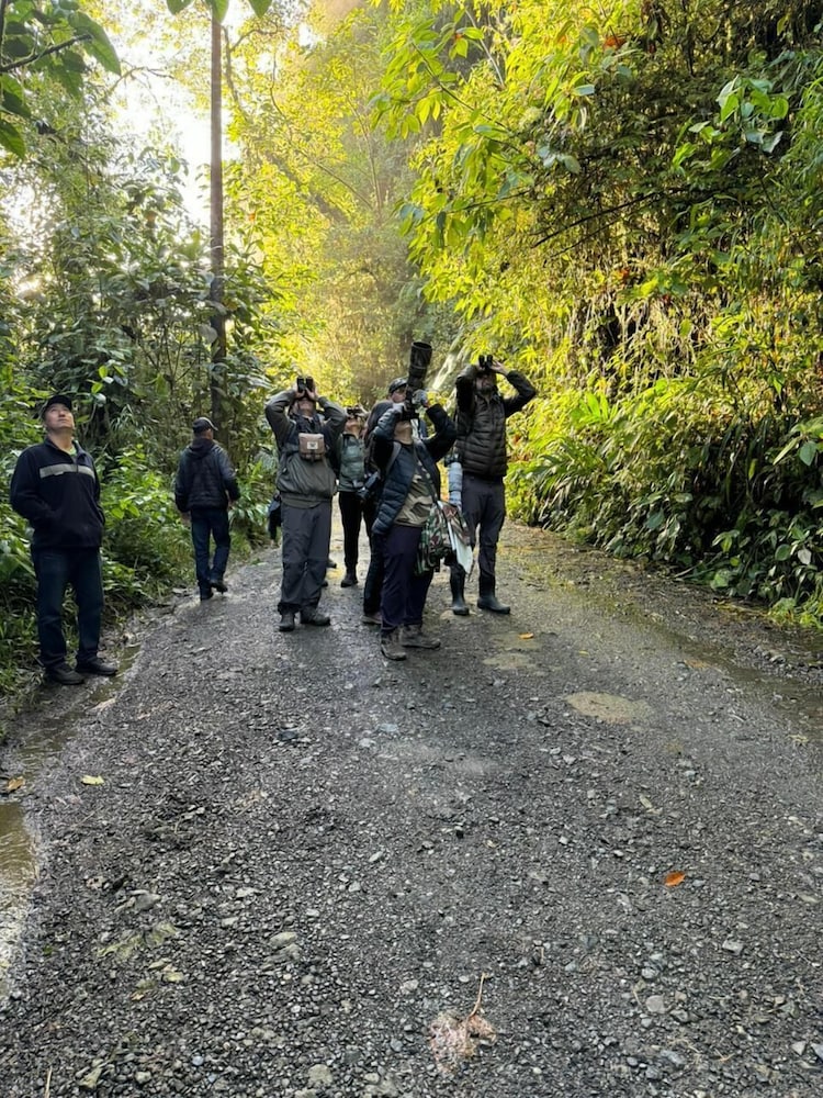 Ecotours