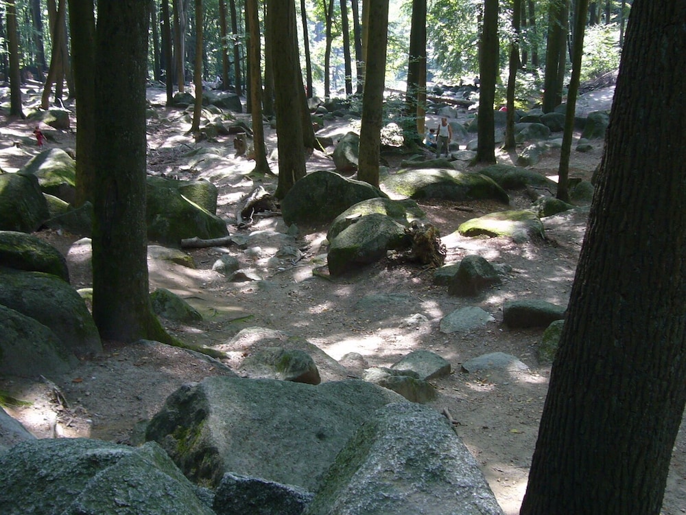 Hiking