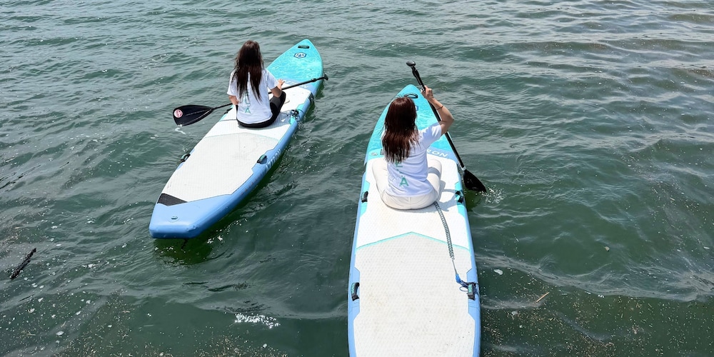 Surfing/boogie boarding