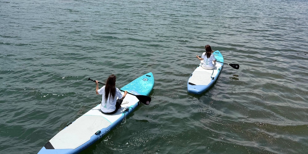 Surfing/boogie boarding