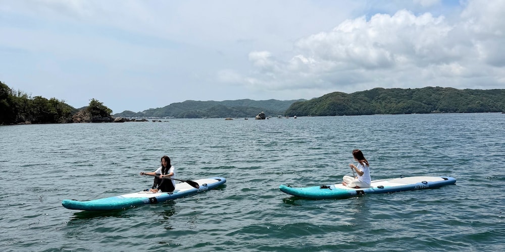 Surfing/boogie boarding