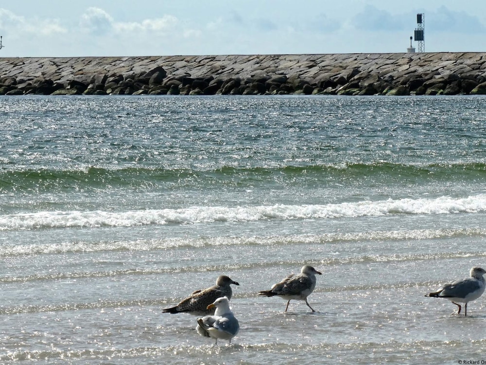 Water view