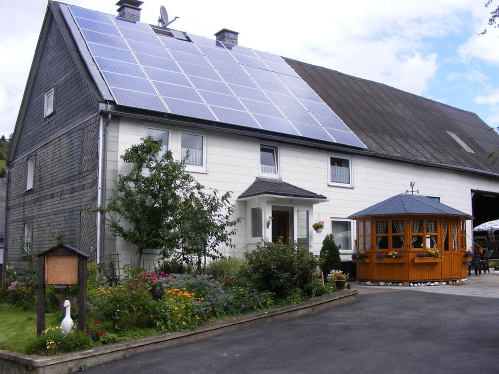 Primary image