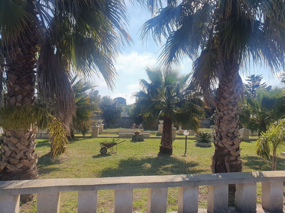 Garden view