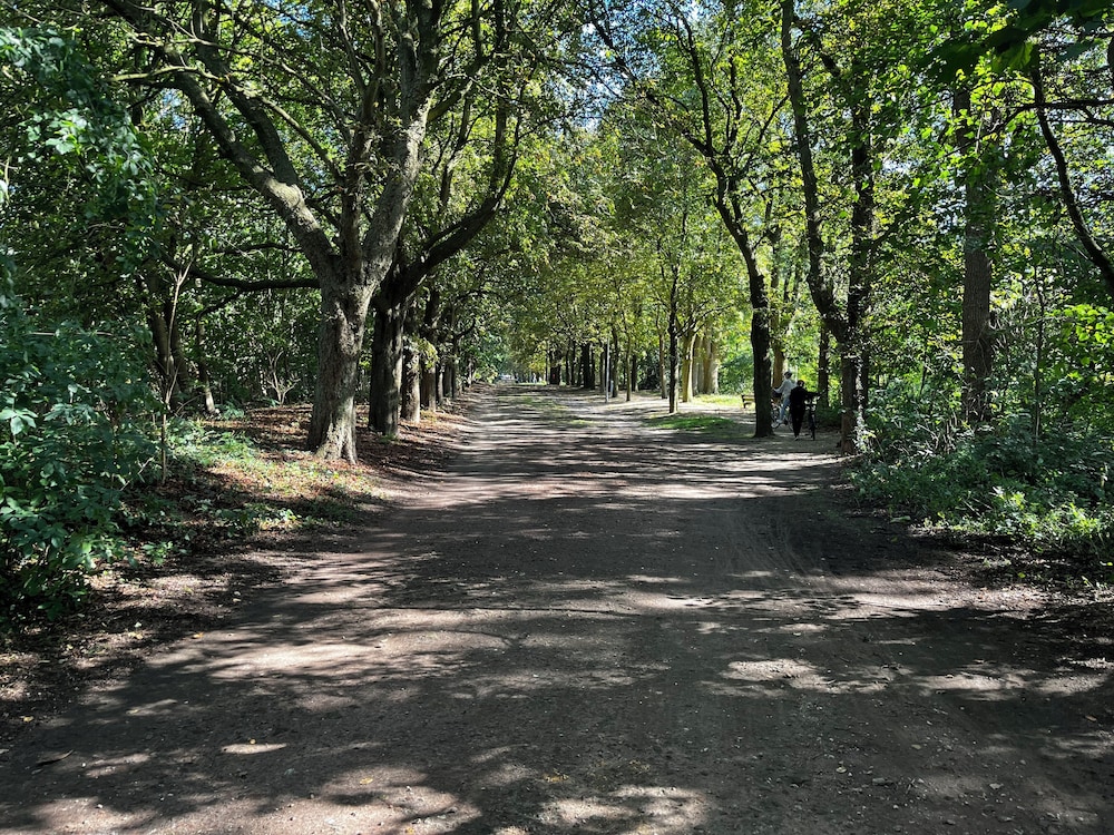 Land view from property