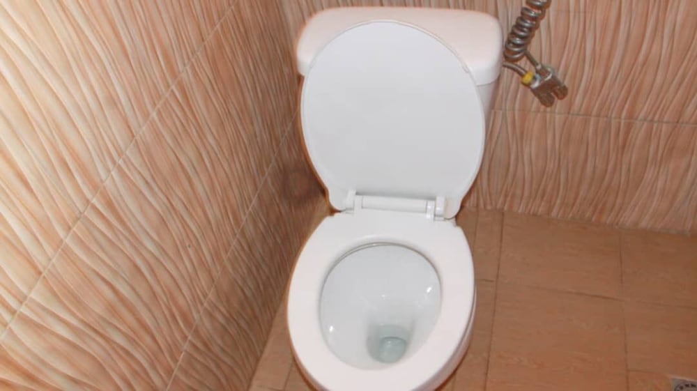 Raised toilet seat