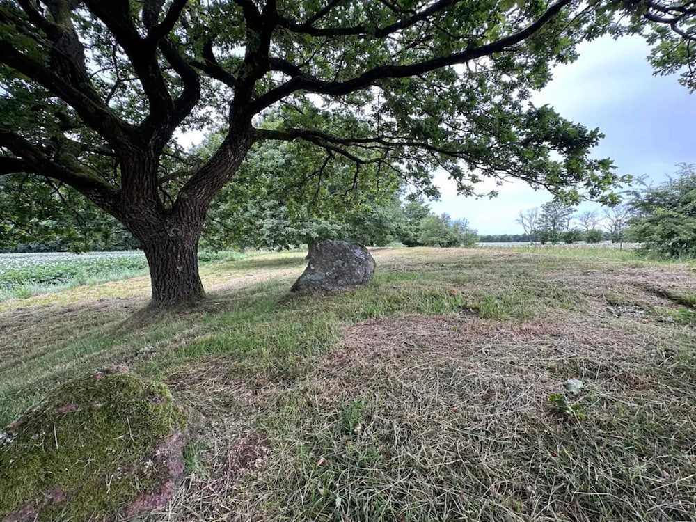 Miscellaneous