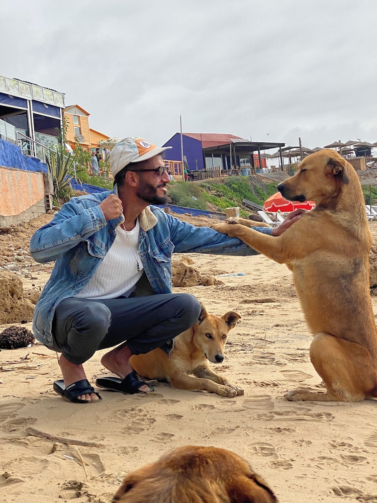 Pet-friendly