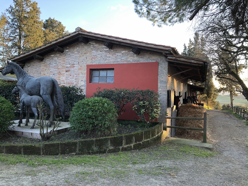 Horseback riding