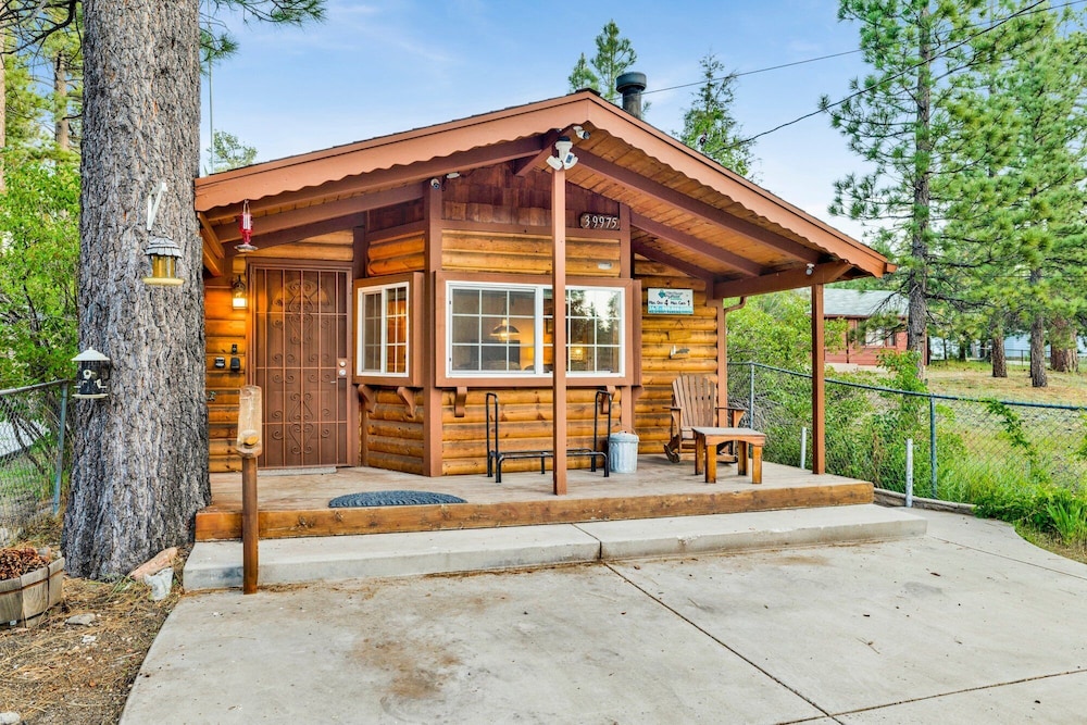 Primary image