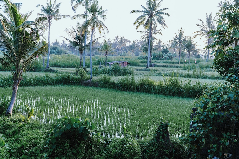 Outdoor banquet area
