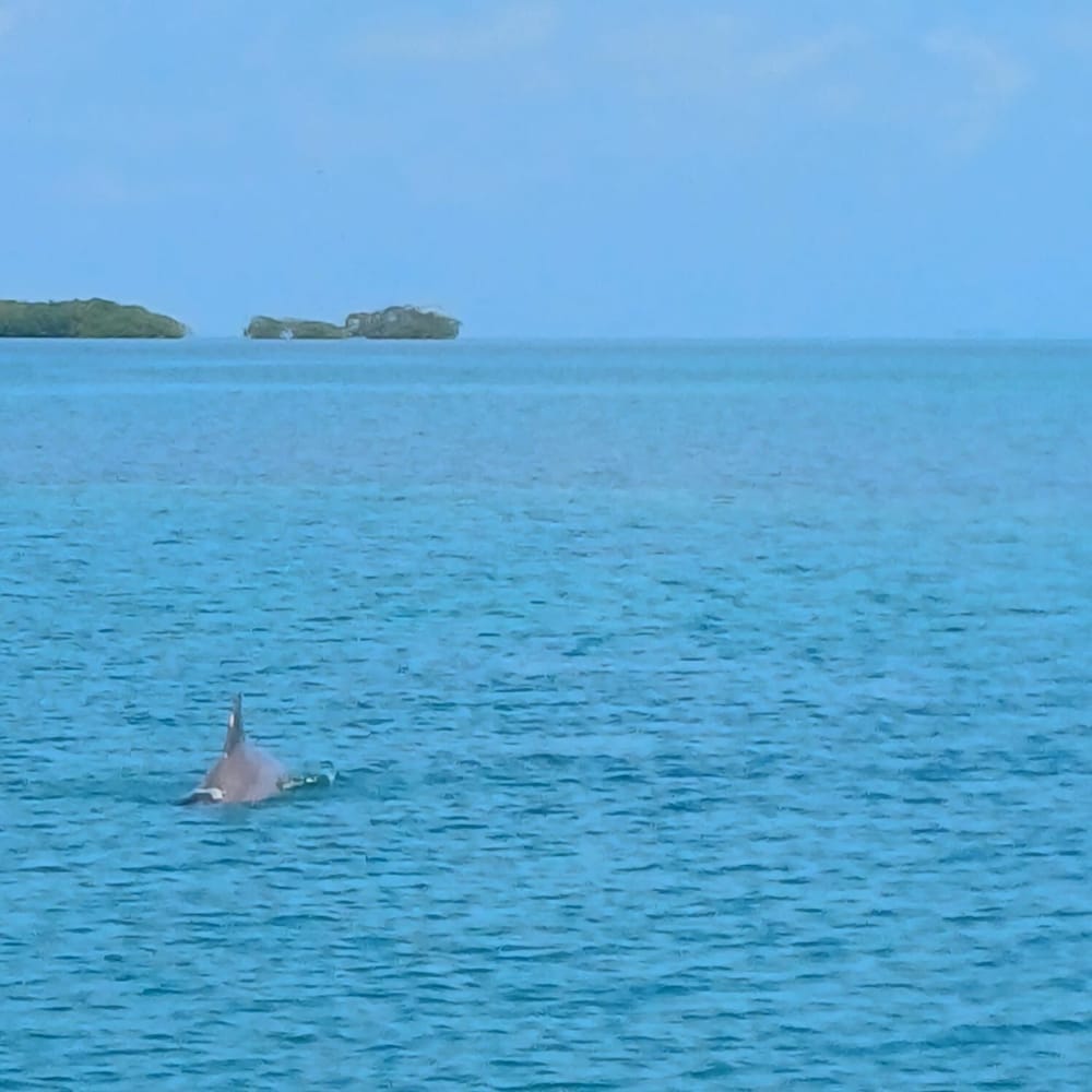 Boating