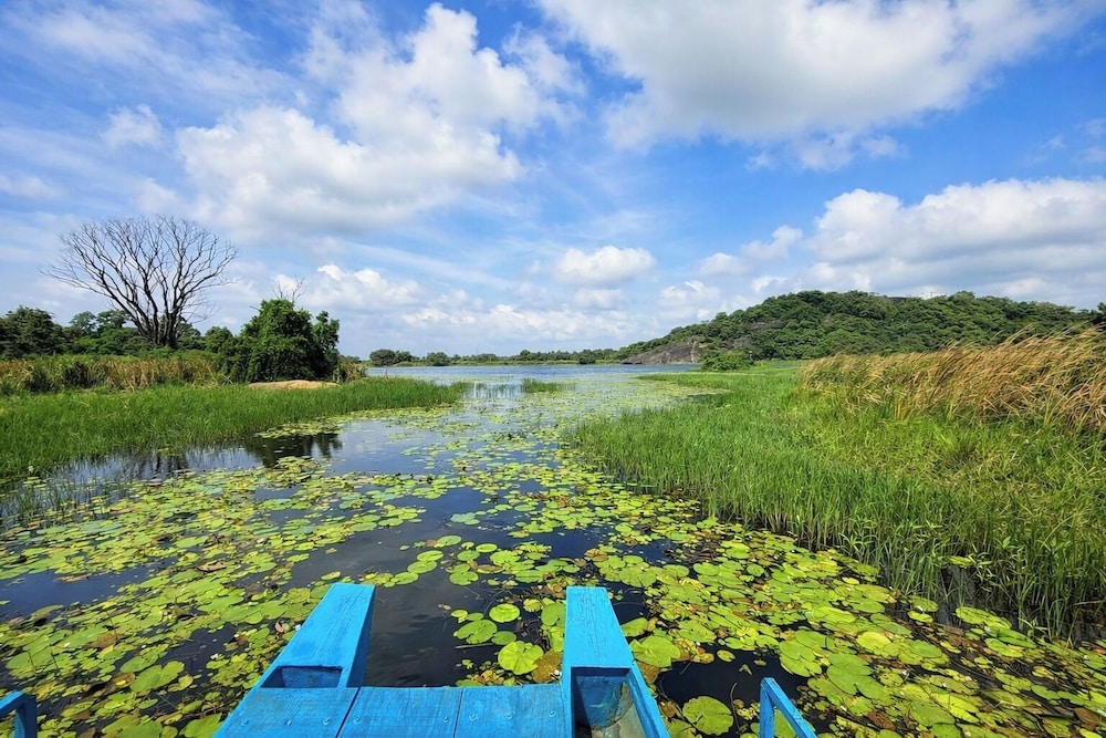 Lake view