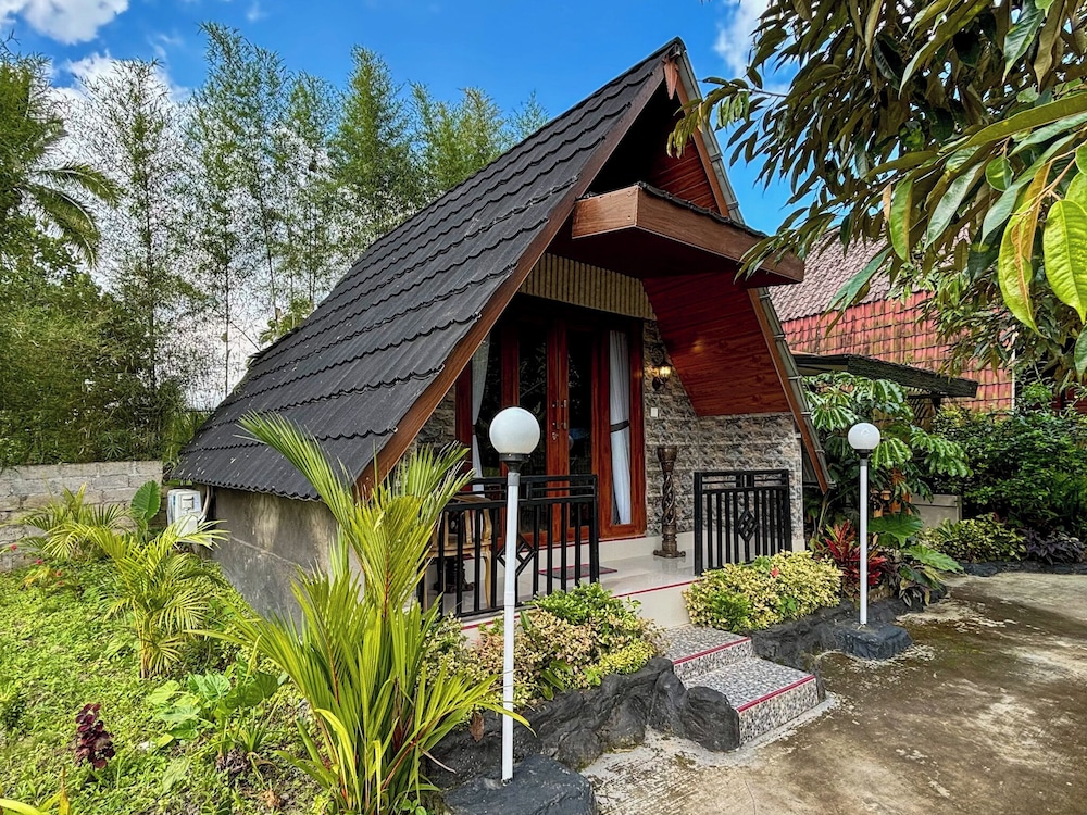 Primary image