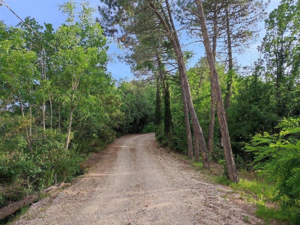 Land view from property