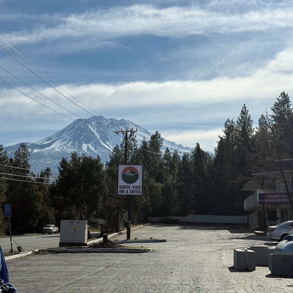 Primary image