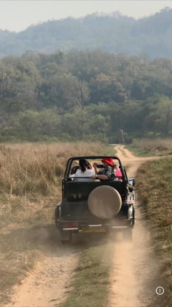 Safari
