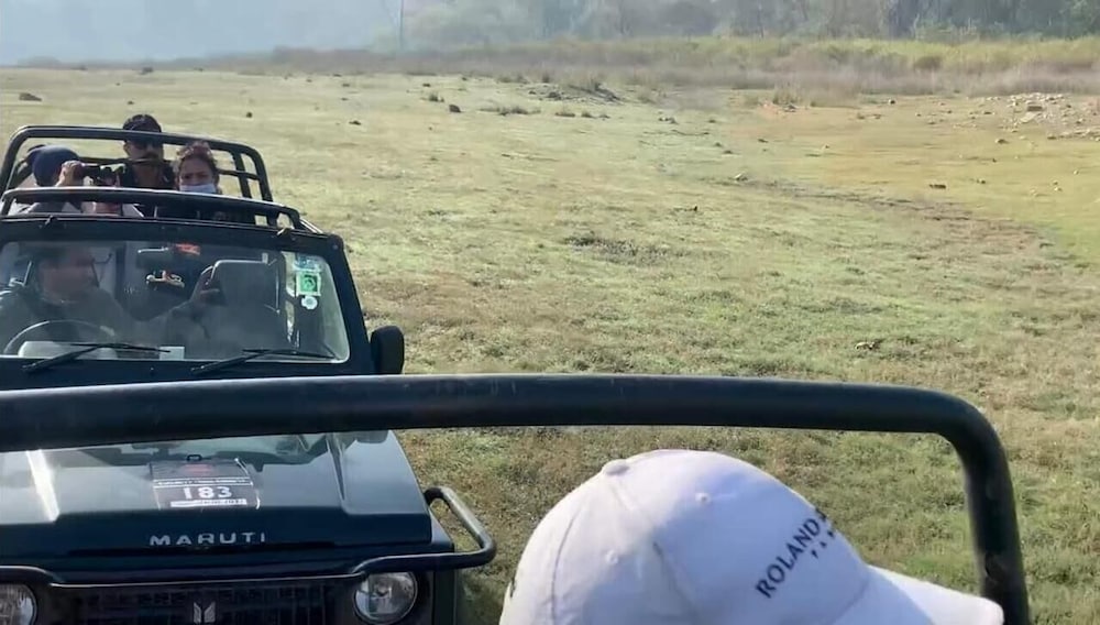 Safari
